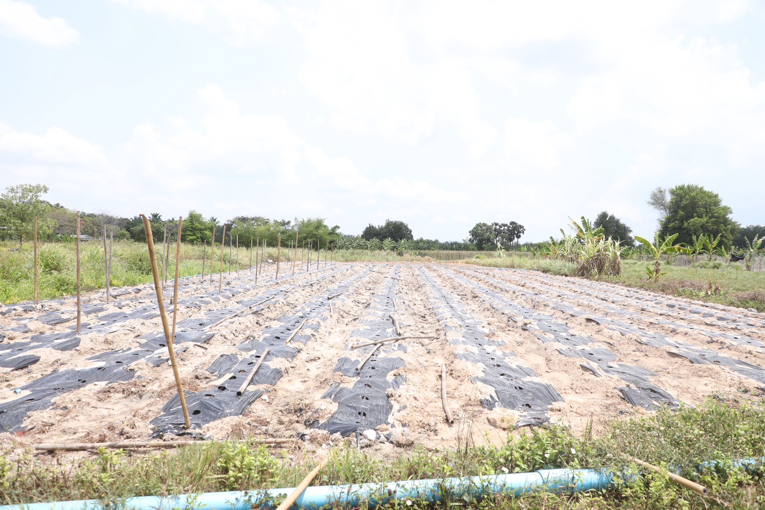 title - ส.ป.ก. ส่งมอบโครงการ “โครงการนำร่องระบบสูบน้ำ พลังงานแสงอาทิตย์เพื่อการเกษตรในเขตปฏิรูปที่ดิน” (Pilot Solar Pumping System for Agiculture in ALRO Area)